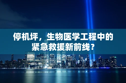 停机坪，生物医学工程中的紧急救援新前线？