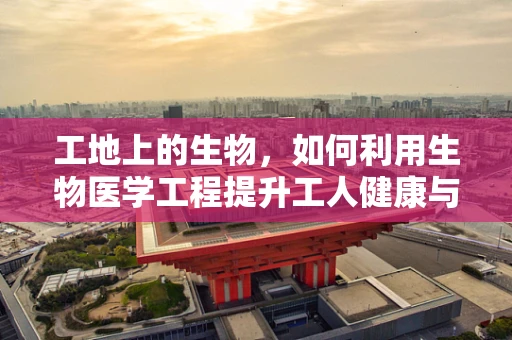 工地上的生物，如何利用生物医学工程提升工人健康与安全？
