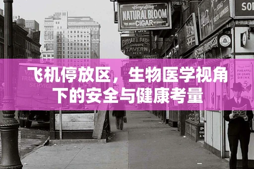 飞机停放区，生物医学视角下的安全与健康考量