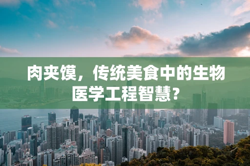 肉夹馍，传统美食中的生物医学工程智慧？
