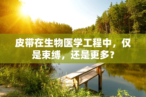 皮带在生物医学工程中，仅是束缚，还是更多？