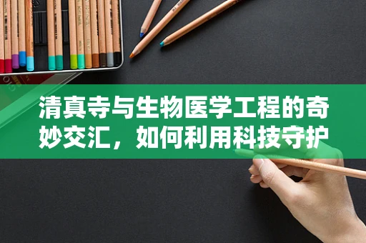 清真寺与生物医学工程的奇妙交汇，如何利用科技守护圣地的健康？