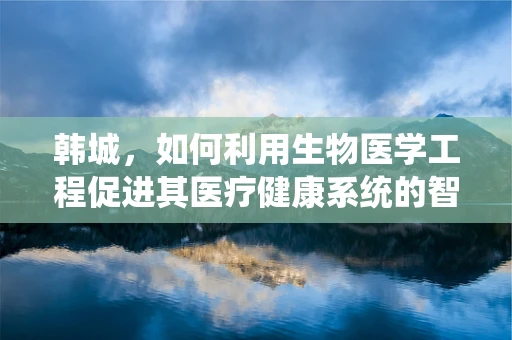 韩城，如何利用生物医学工程促进其医疗健康系统的智能化升级？
