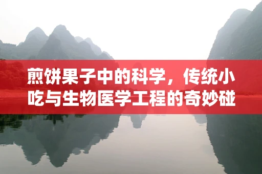 煎饼果子中的科学，传统小吃与生物医学工程的奇妙碰撞