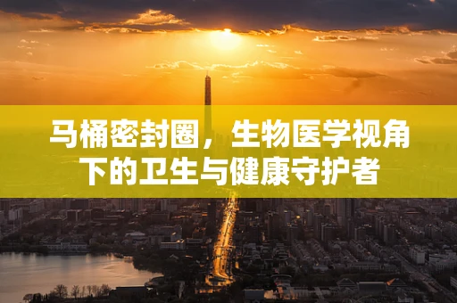 马桶密封圈，生物医学视角下的卫生与健康守护者