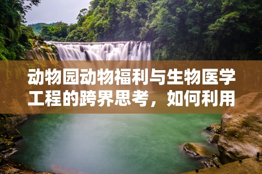 动物园动物福利与生物医学工程的跨界思考，如何利用技术提升动物生活质量？