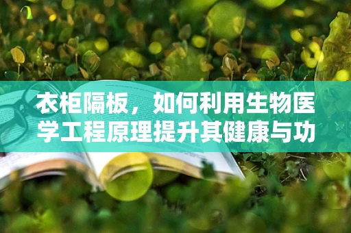 衣柜隔板，如何利用生物医学工程原理提升其健康与功能性？