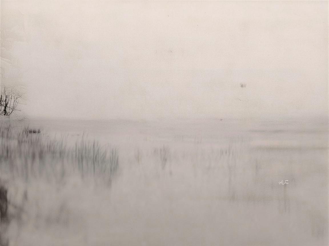 昌都地区生物医学工程应用的前景与挑战